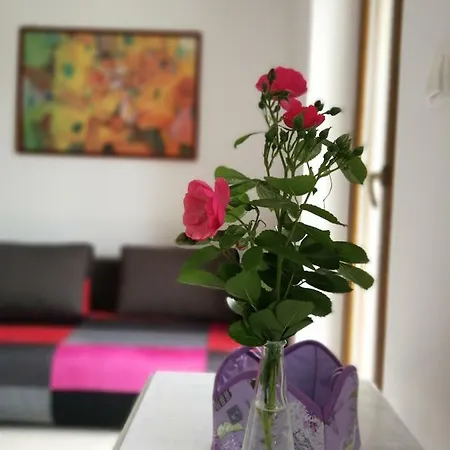 Simonetti Apartman *