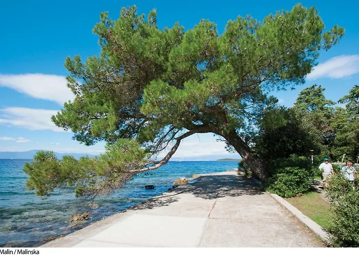 Apartament Simonetti