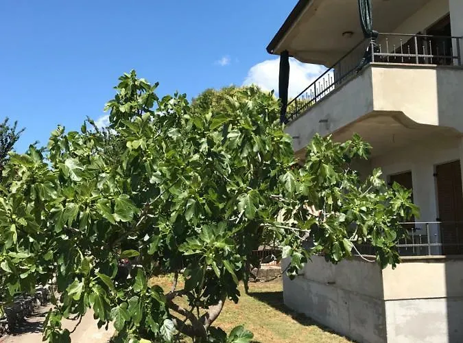 Simonetti Apartament *