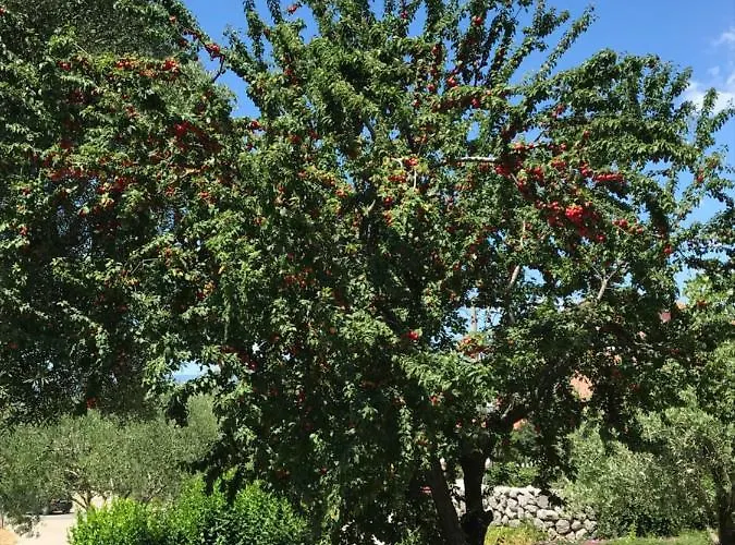 Simonetti Apartament