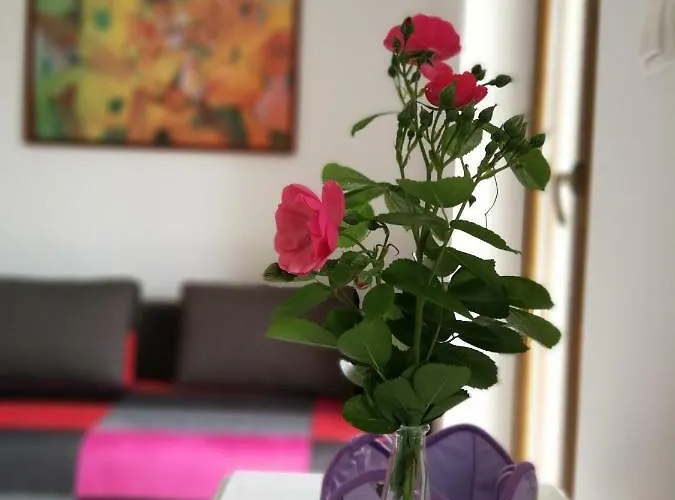 Simonetti Apartament *