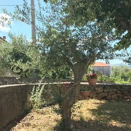 Apartment Simonetti